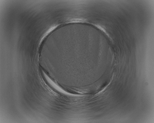 X0000062631317200512281545