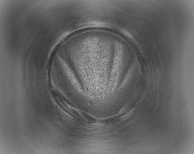 X0000062631318200512281545