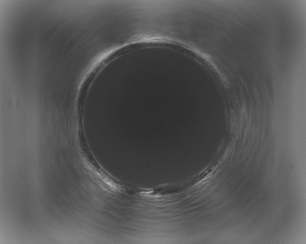 X0000062631319200512281545