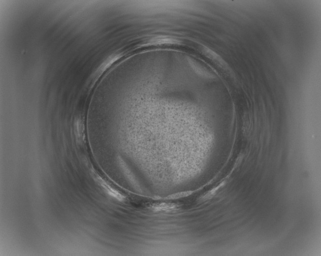 X0000062631321200512281545