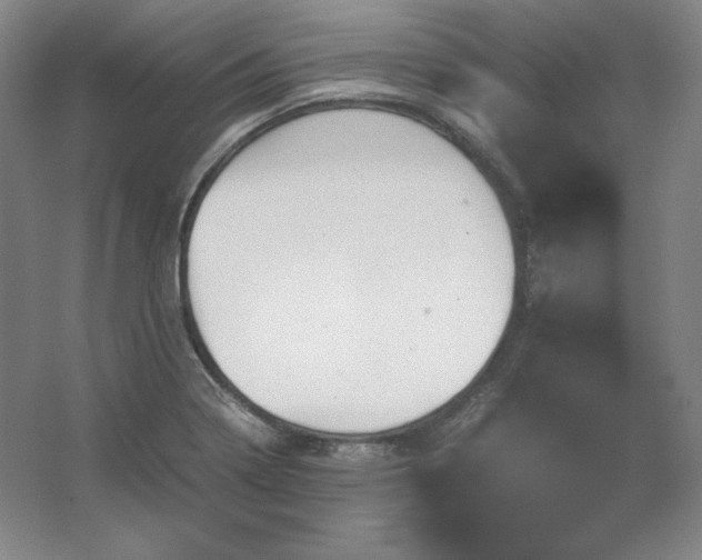 X0000062631322200512281545