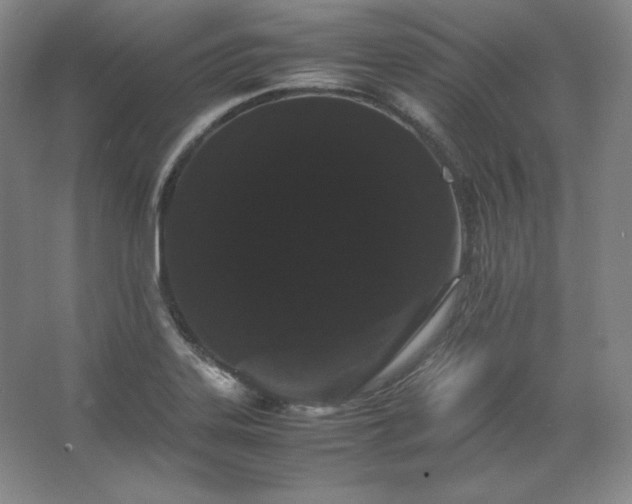 X0000062631323200512281545