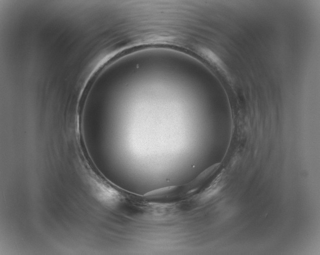 X0000062631324200512281545