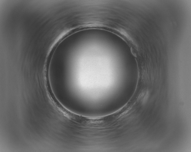 X0000062631325200512281545