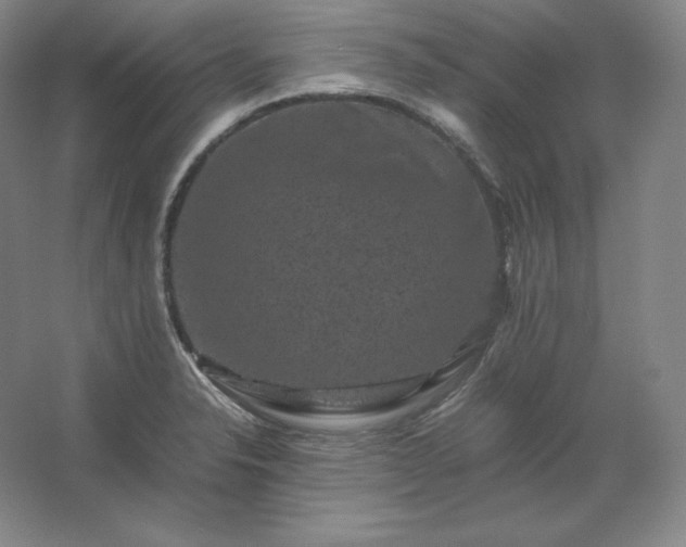 X0000062631326200512281545