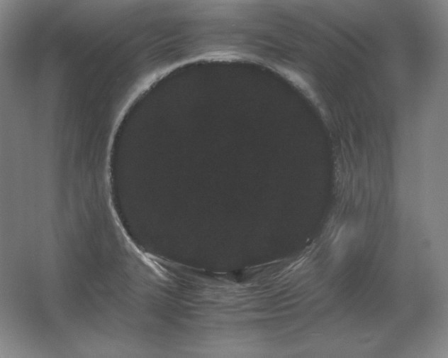 X0000062631327200512281545