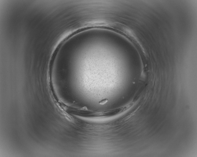 X0000062631328200512281545