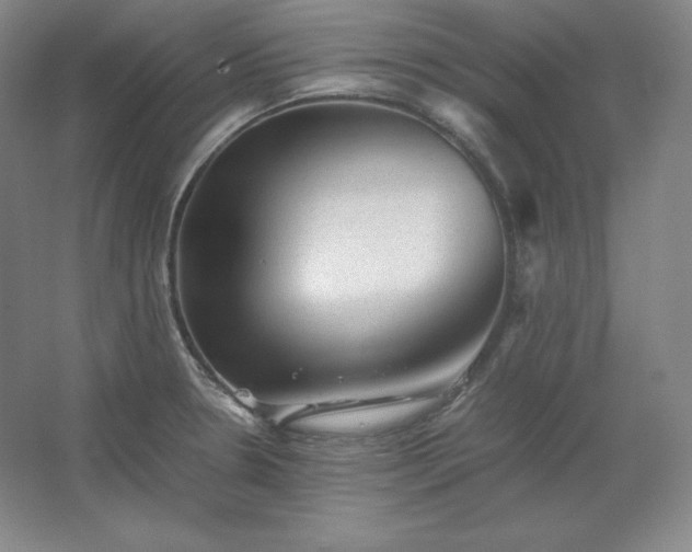 X0000062631330200512281545