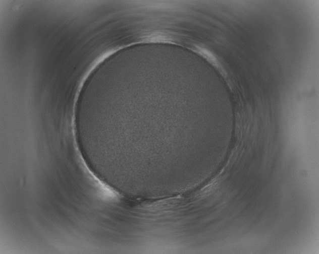 X0000062631331200512281545