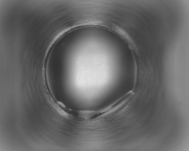 X0000062631332200512281545