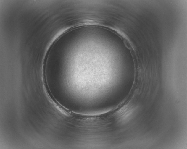 X0000062631333200512281545