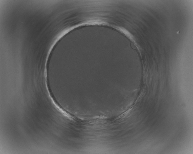 X0000062631335200512281545