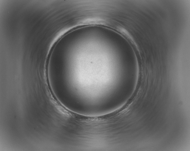 X0000062631336200512281545