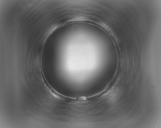 X0000062631337200512281545