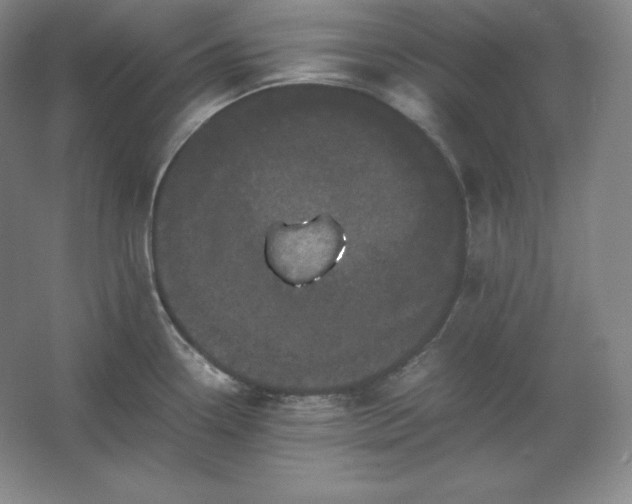 X0000062631338200512281545