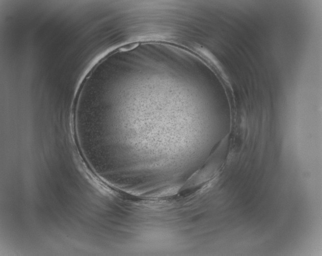 X0000062631340200512281545