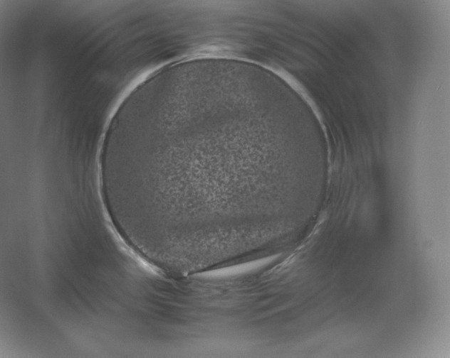 X0000062631341200512281545