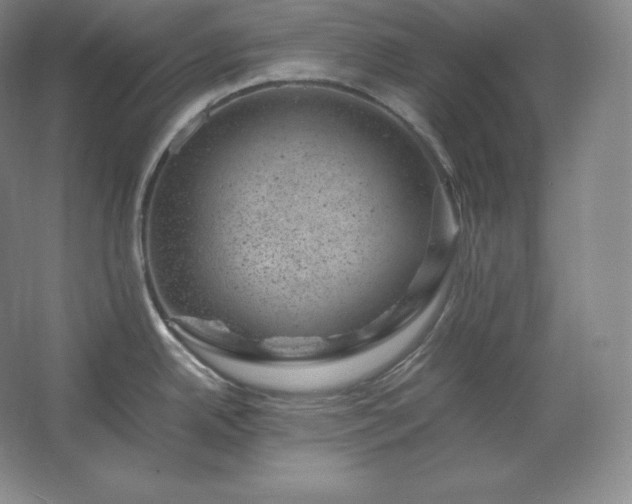 X0000062631342200512281545