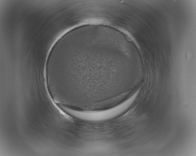 X0000062631343200512281545