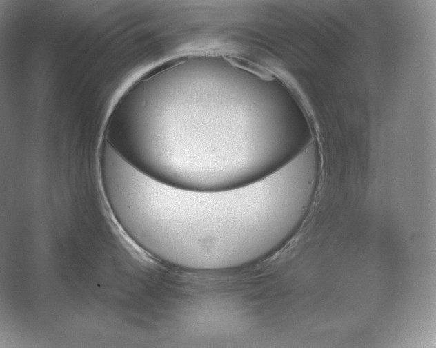 X0000062631344200512281545