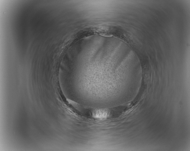 X0000062631345200512281545