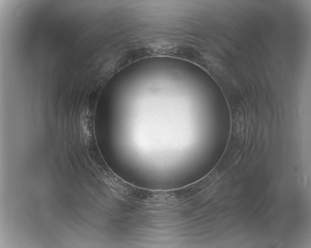 X0000062631346200512281545