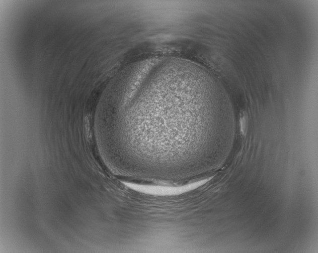 X0000062631347200512281545