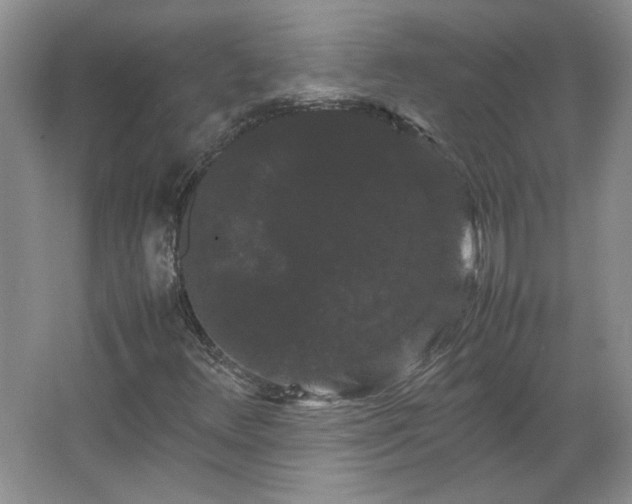 X0000062631348200512281545