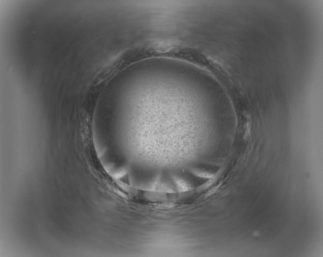 X0000062631349200512281545