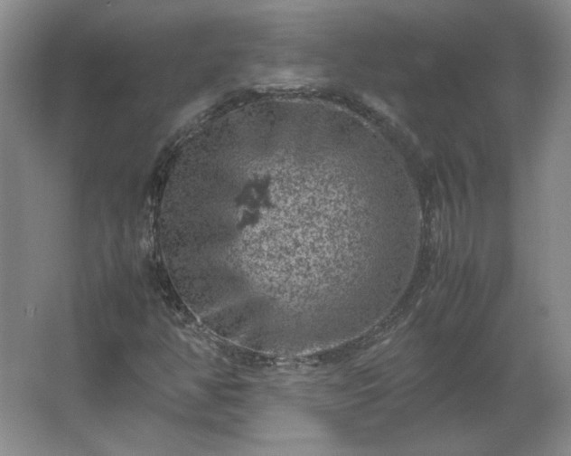 X0000062631350200512281545