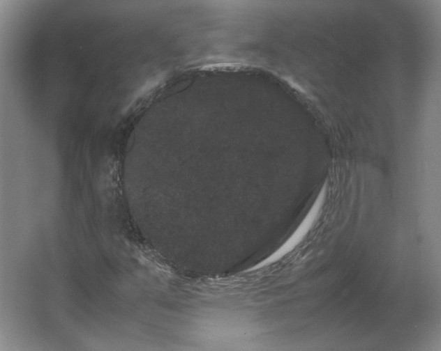 X0000062631351200512281544