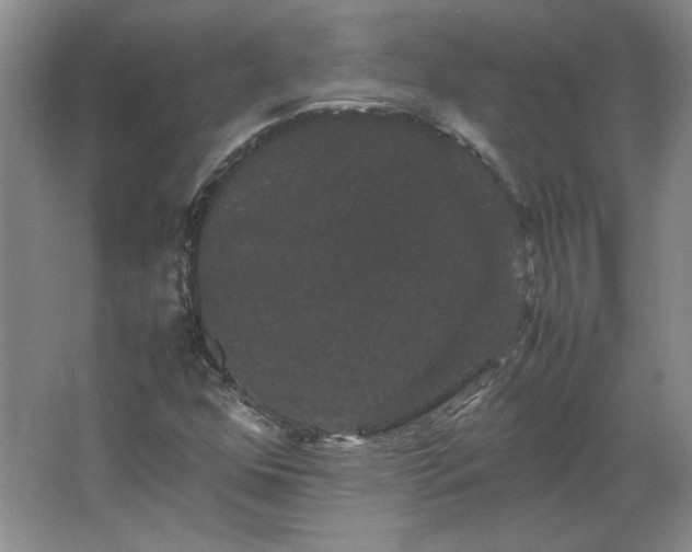 X0000062631352200512281544