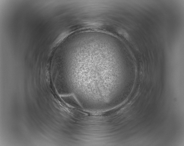 X0000062631354200512281544