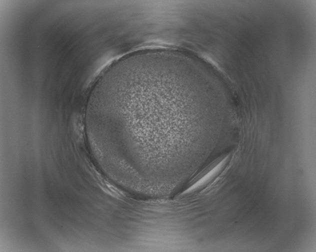 X0000062631355200512281544