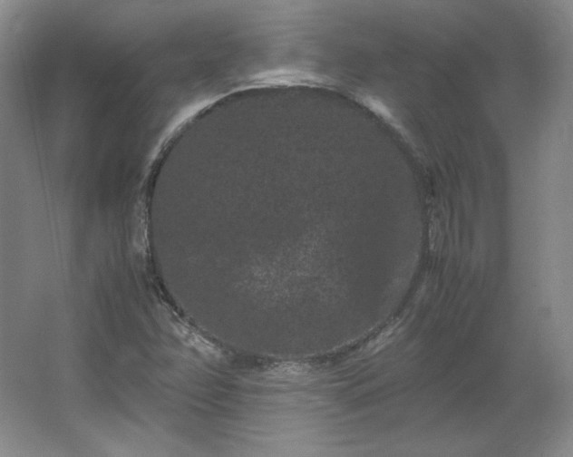 X0000062631358200512281544