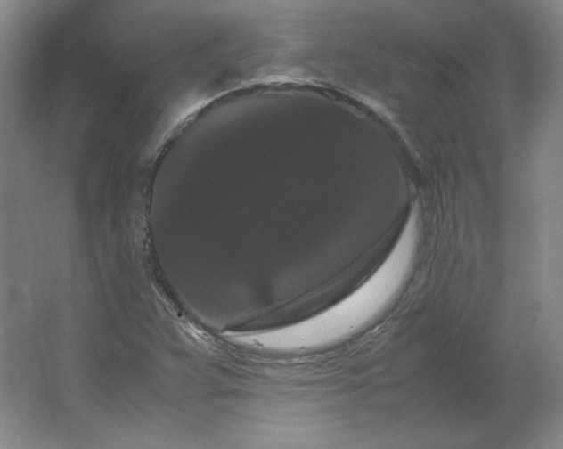 X0000062631359200512281544