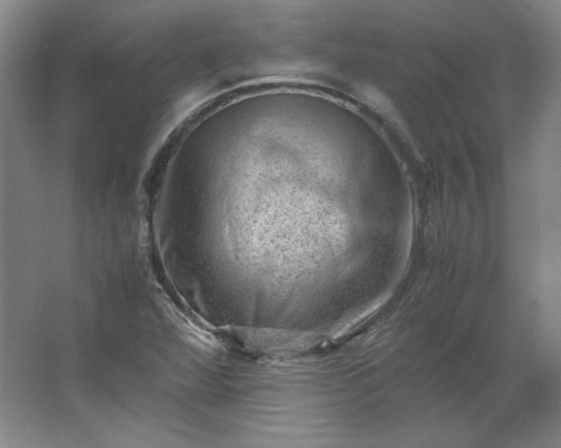 X0000062631360200512281544