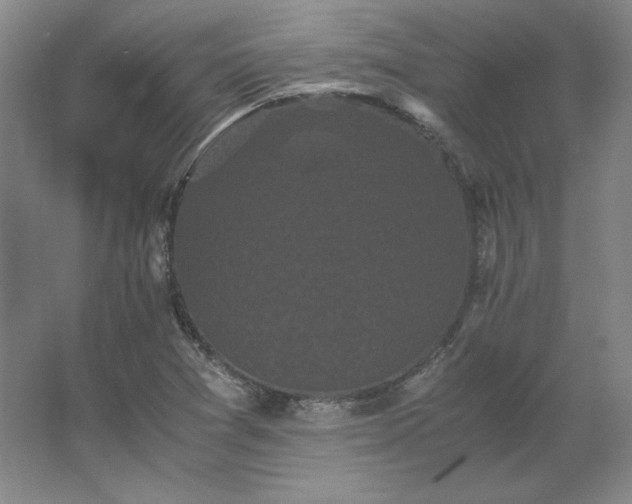 X0000062631361200512281544