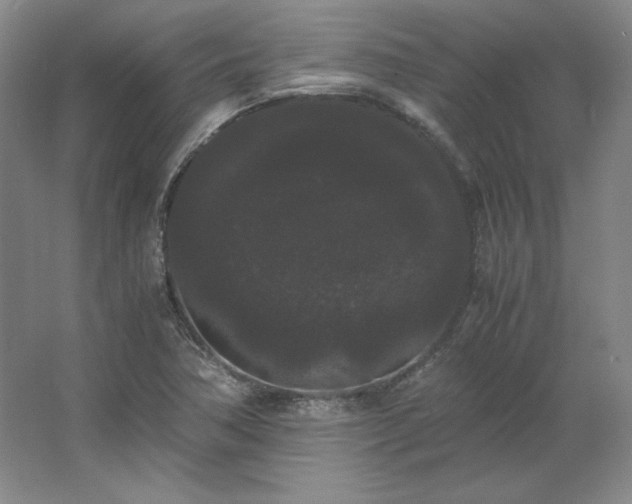 X0000062631362200512281544