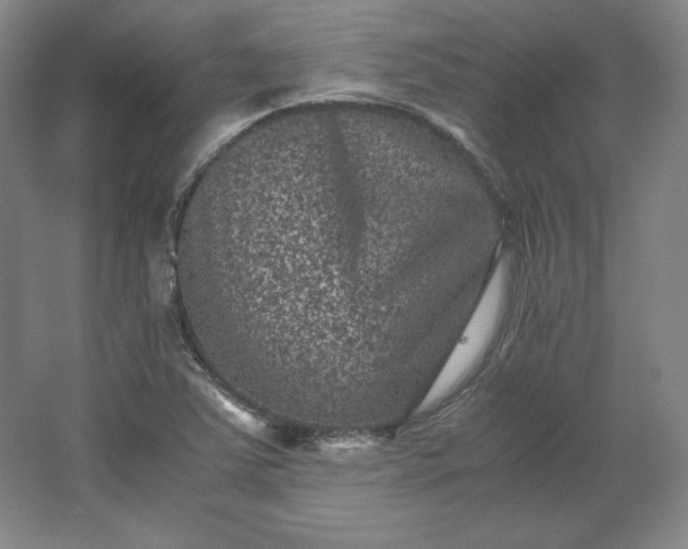 X0000062631363200512281544