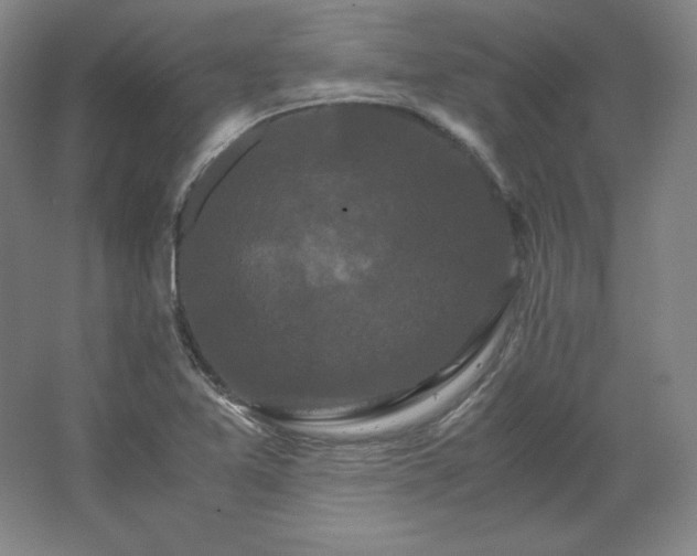 X0000062631365200512281544