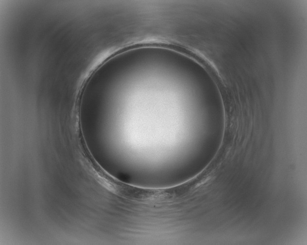 X0000062631367200512281544