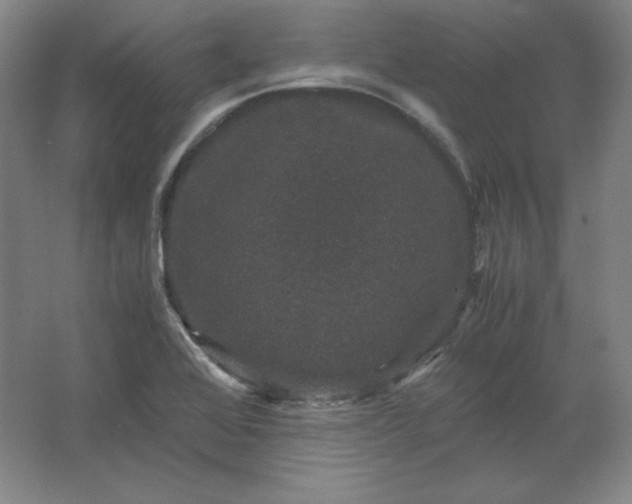 X0000062631368200512281544