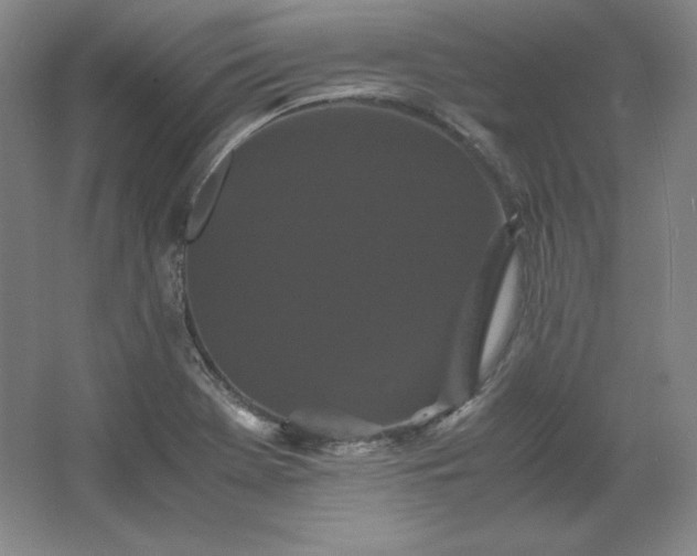 X0000062631369200512281544