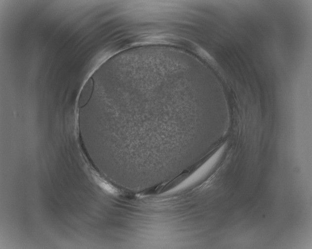 X0000062631370200512281544