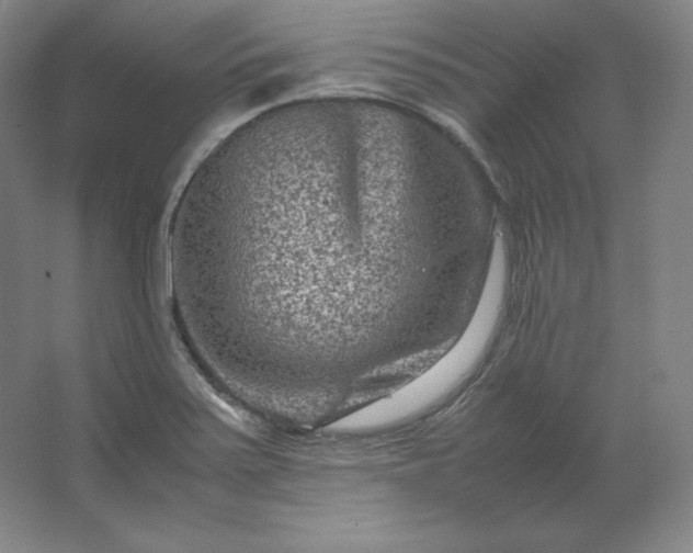 X0000062631371200512281544