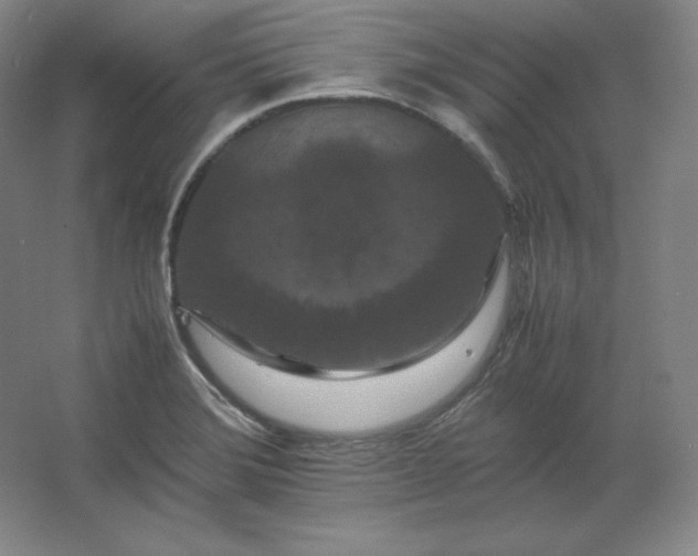 X0000062631372200512281544