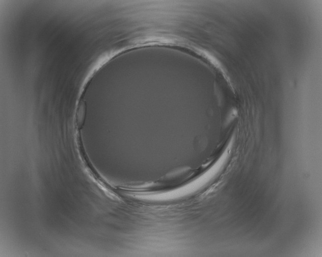 X0000062631373200512281544