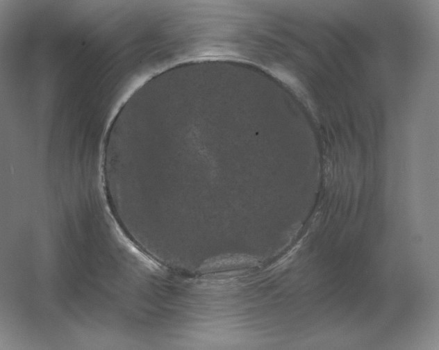 X0000062631374200512281544