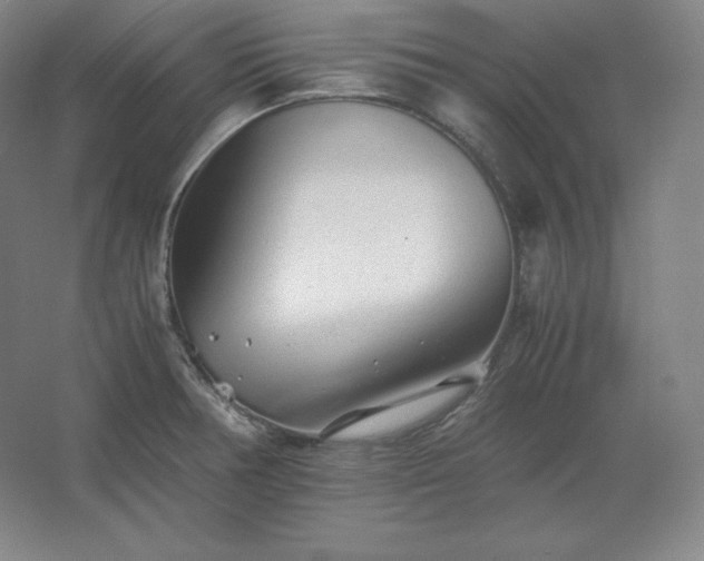 X0000062631378200512281544